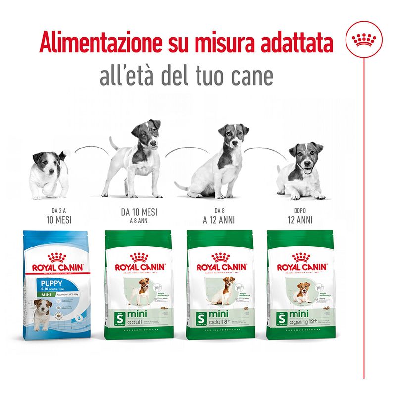 2x8kg Royal Canin Mini Adult - Crocchette per Cani 2x8kg Royal Canin Mini Adult - Crocchette per Cani